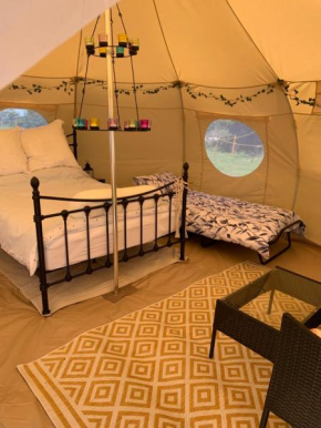 Tal-y-fan farm 6m stargazer tent